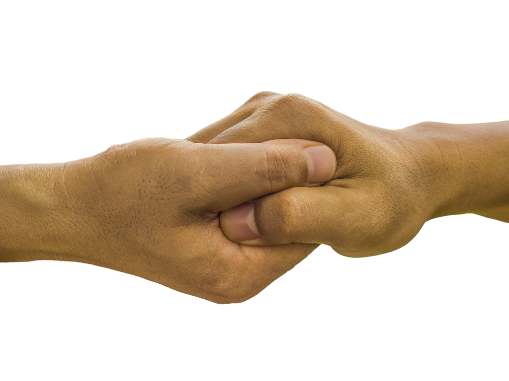 hands, palm in palm, hand